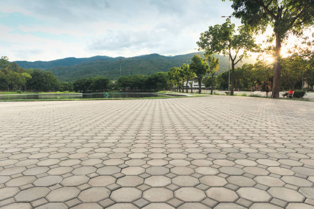 Best Custom Driveway Pavers  in Goleta, CA